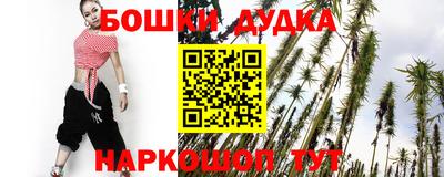 стаф Абакан