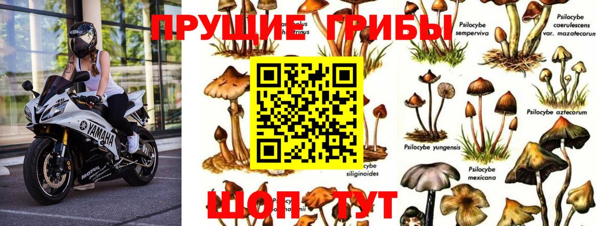 Псилоцибиновые грибы мухоморы Апатиты